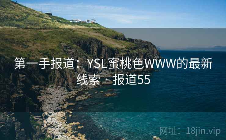 第一手报道：YSL蜜桃色WWW的最新线索 · 报道55  第2张