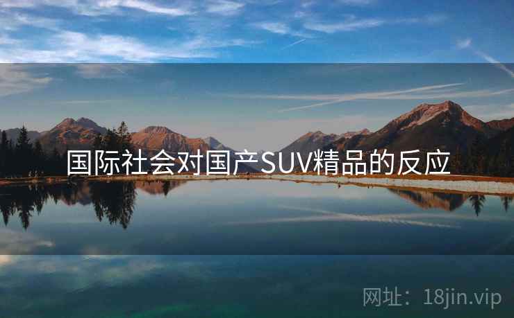 国际社会对国产SUV精品的反应  第2张