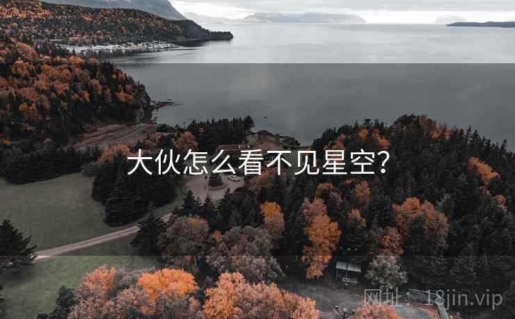 大伙怎么看不见星空？